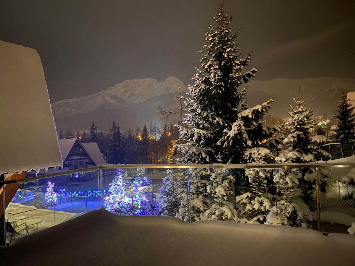 Vip Chalet Zakopane コシチェリスコ エクステリア 写真