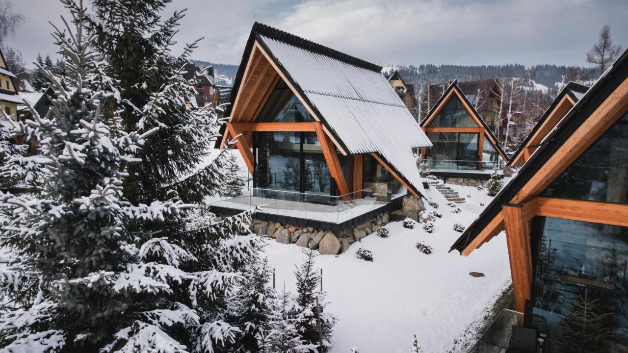 Vip Chalet Zakopane コシチェリスコ エクステリア 写真