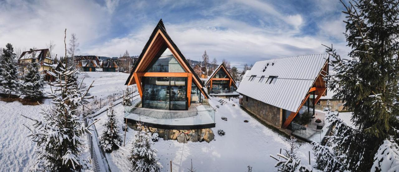 Vip Chalet Zakopane コシチェリスコ エクステリア 写真