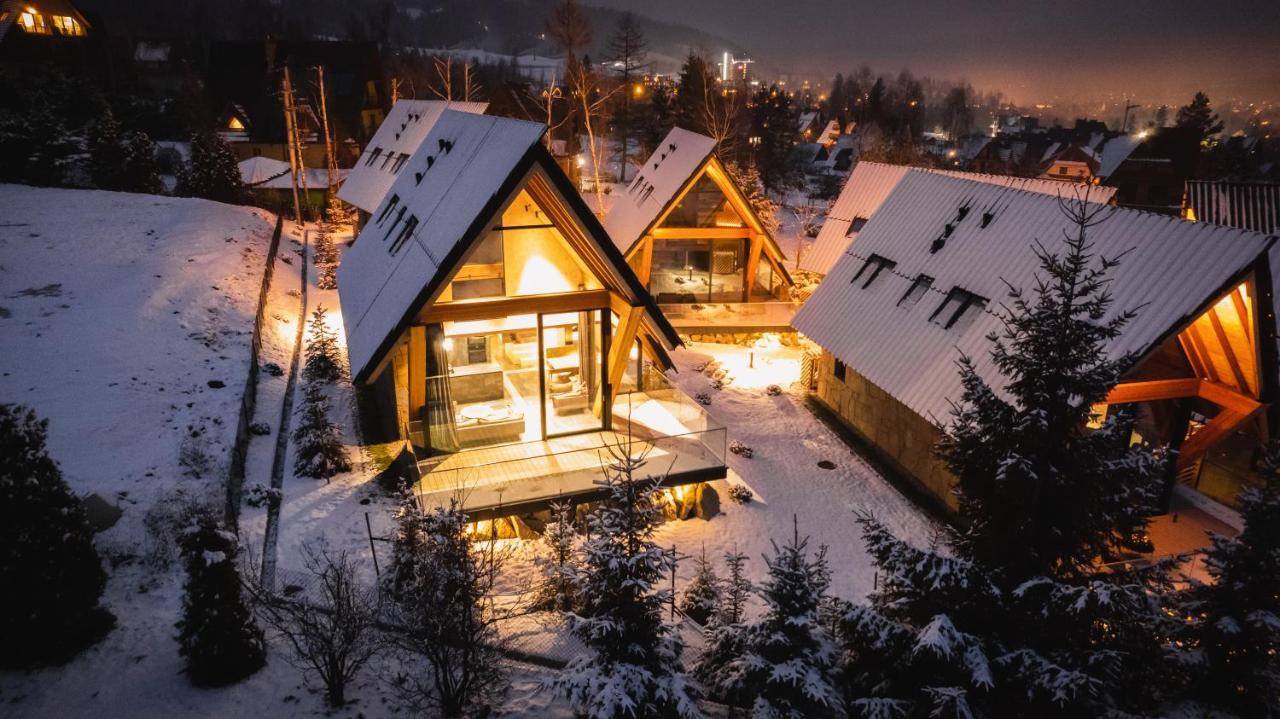 Vip Chalet Zakopane コシチェリスコ エクステリア 写真