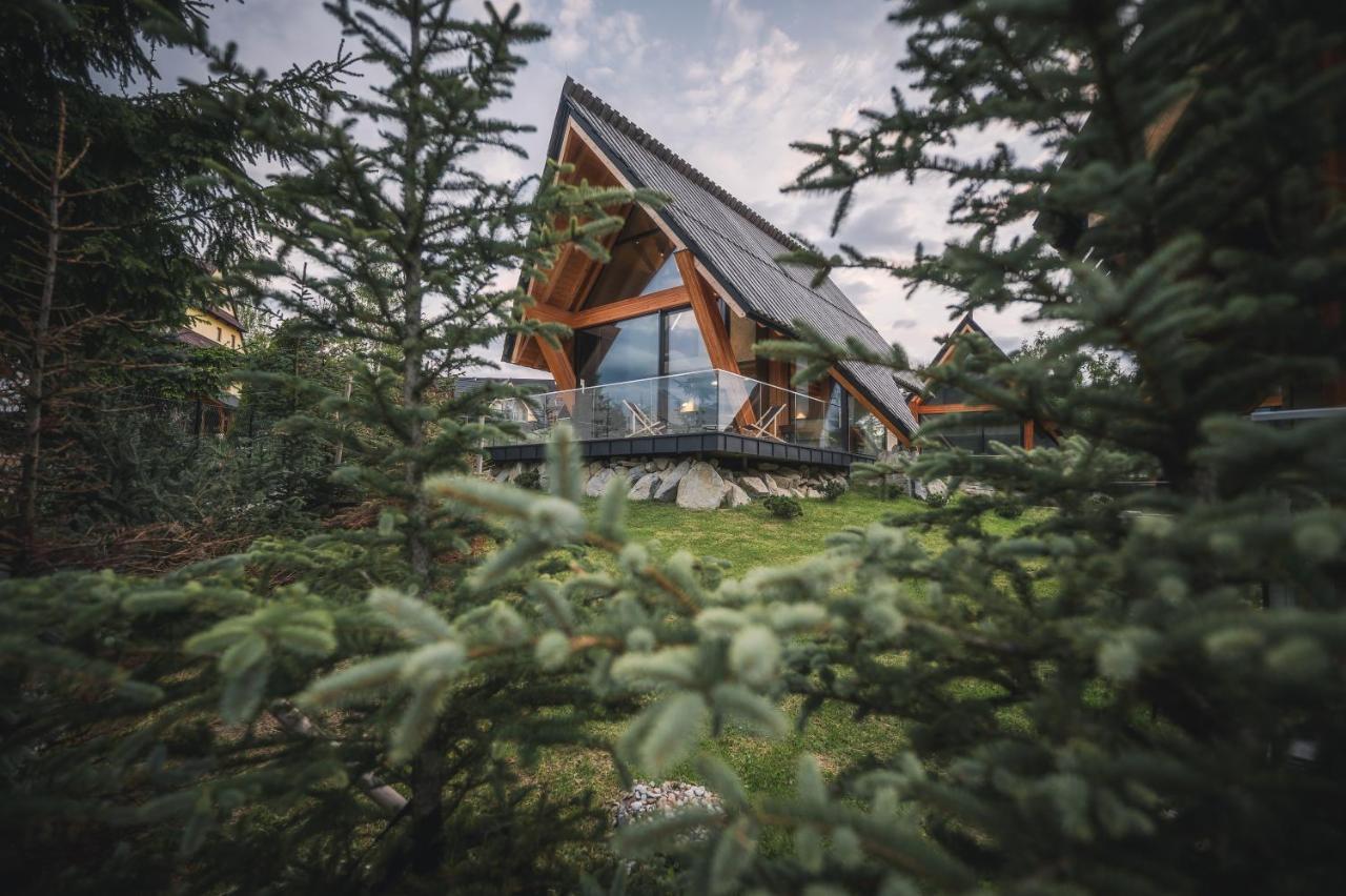 Vip Chalet Zakopane コシチェリスコ エクステリア 写真